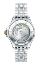 Women watch ∙ Automatic ∙ Brown ∙ 316L stainless steel - #4