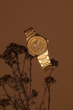 Women watch ∙ Quartz ∙ PVD coating ∙ 316L stainless steel - #3